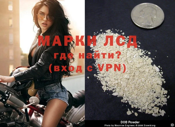 прущие грибы Арсеньев